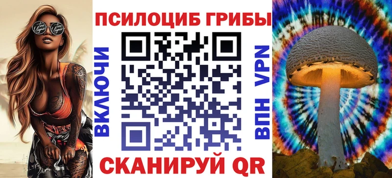 Псилоцибиновые грибы Cubensis  Благовещенск 